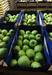 Яблоки из Польши! Apples from Poland! - photo 10