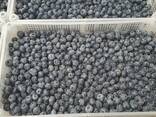 Blueberry from Poland - фото 7
