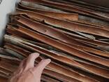 Cassia Stick / Powder from Vietnam - фото 3