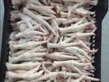 Chicken Feet and chicken paws and whole halal chicken at the best prices with prompt shipp - фото 2