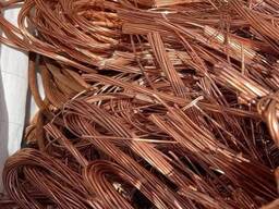Copper Wire Scraps Best Quality 99% Millbery Cheap Scraps for Sales