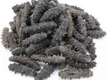 Dried Sea Cucumber - photo 2