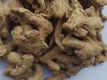 Dry Whole Ginger from Vietnam - фото 2
