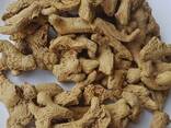 Dry Whole Ginger from Vietnam - фото 3