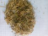 Eco-friendly horse bedding - photo 2