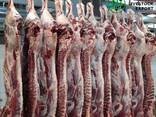 Export of meat - фото 1