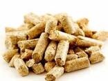Exporting Wood Pellets High Quality And Best Price From Spain