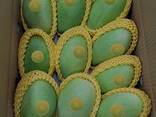 Fresh Mango from Vietnam - фото 2