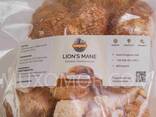Lion's mane (Lion's mane) WHOLE mushroom fruits - 100 gr/Ежовик гребенчатый ДИКИЙ