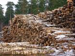 Firewood - photo 12