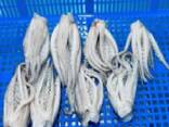 Мороженные морепродукты и рыба в Латвию от завода из Китая - photo 2