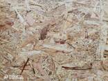 OSB-3 - фото 2