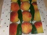 Peach - photo 3