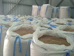 Koksnes granulas EN plus A1