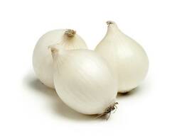 We sell onions (white)