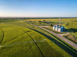 Sell: whet/auto/fuel/ logistics/ investment/ real-estate:17 workd( lowprice) - фото 2