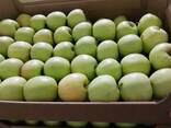 Продажа свежих яблок - photo 2