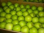 Продажа свежих яблок - фото 4