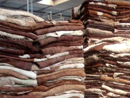 Sell cattle hides wholesale