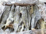 Скумбрия Селедка Окунь Хек Лосось Палтус Креветки Кальмар Зубатка - photo 7