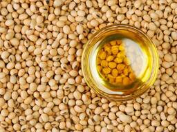 Soybean oil/ Sojas pupiņu eļļa