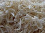 Сушеный кальмар от завода из Китая в Латвию - photo 1