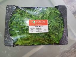 Свежая зелень