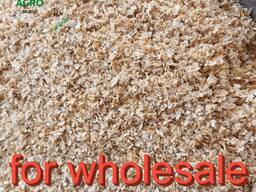 Wheat bran
