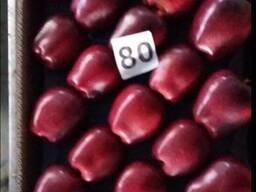 Яблоки Македония