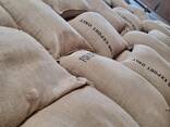 Green coffee, unroasted, assorted - фото 1